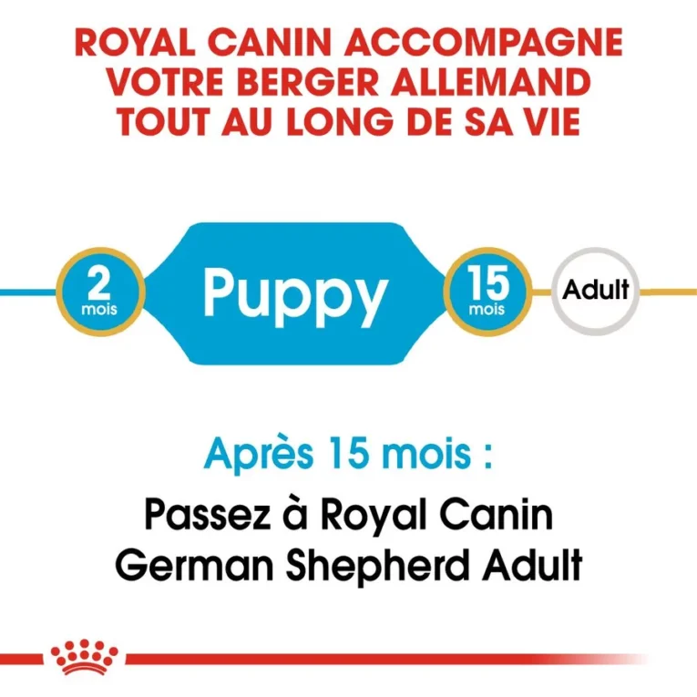 royal canin berger allemand chiot