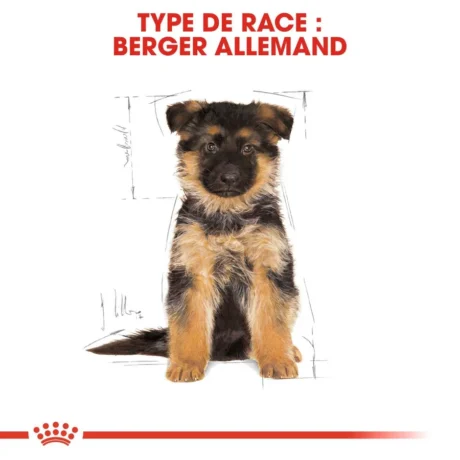 royal canin berger allemand chiot