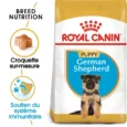 royal canin berger allemand chiot