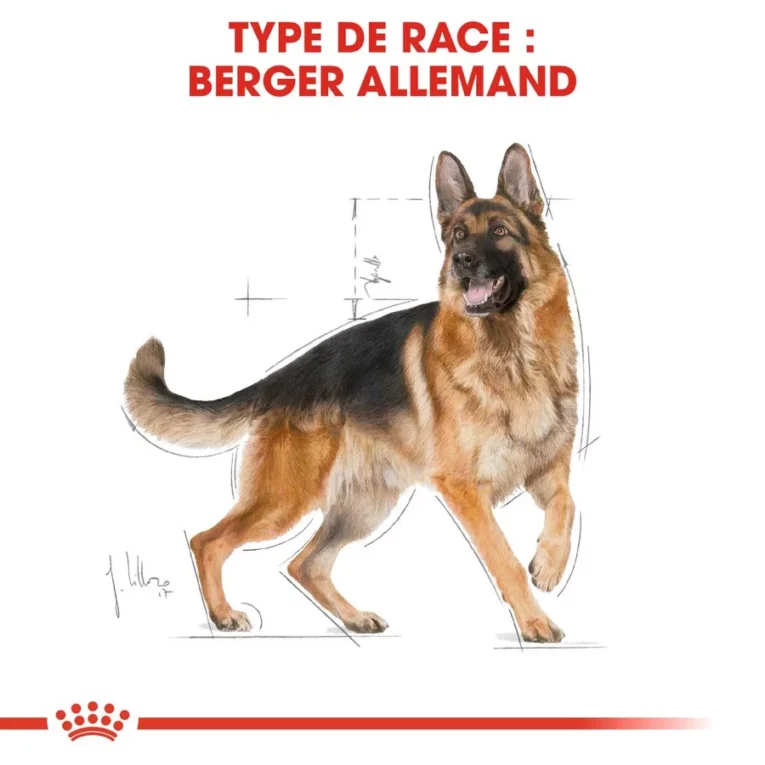 royal canin berger allemand