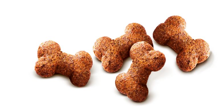 Snack croquant à l’agneau pour chien