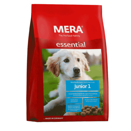 Mera dog junior 1