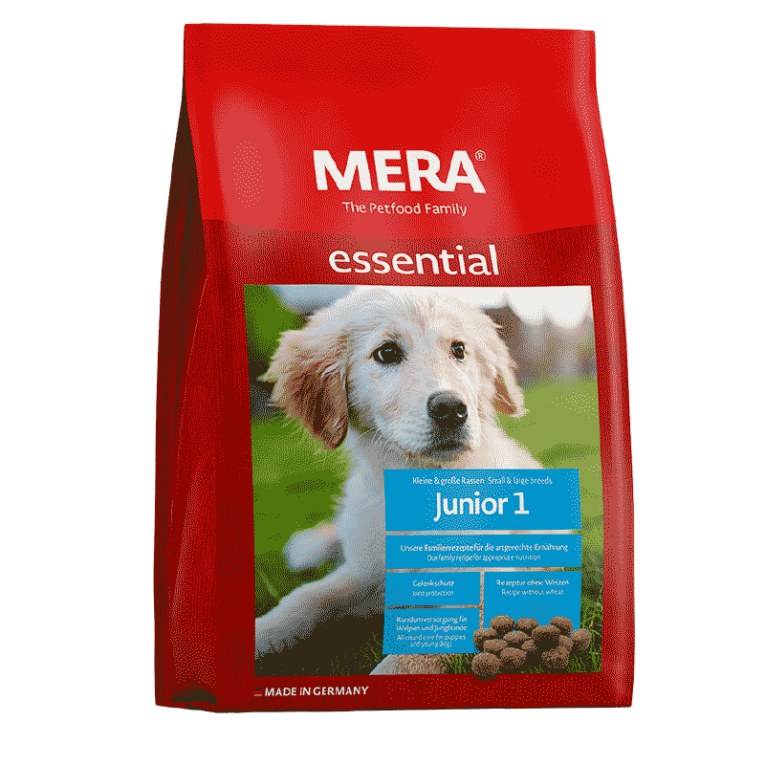 Mera dog junior 1