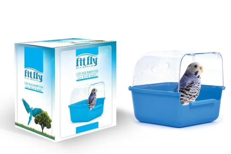 fit fly bain oiseaux