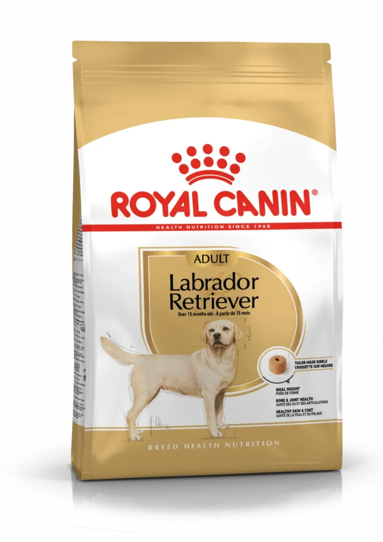 Royal Canin Labrador retriever adulte