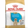 Royal Canin Chiot Labrador Retriever