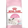 Croquettes Royal canin Mother & Babycat