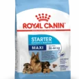 Royal Canin Maxi Starter