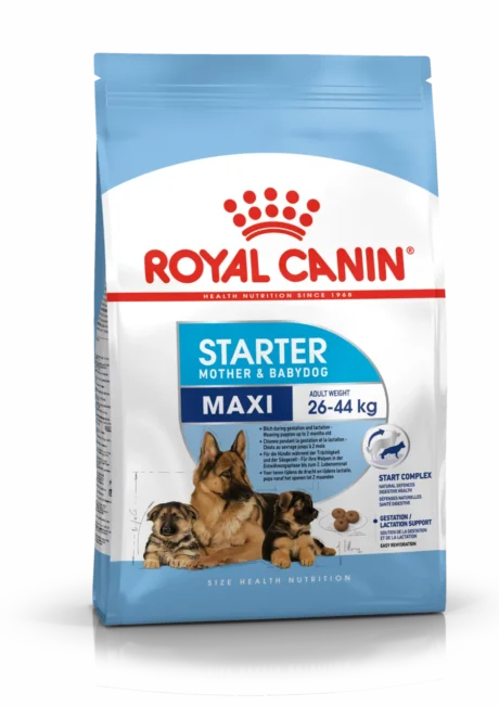 Royal Canin Maxi Starter