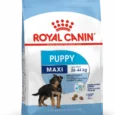 Royal Canin Maxi Puppy