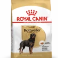 Royal Canin Rottweiler Adulte