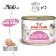 Royal Canin Mother & Babycat mousse