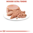 Royal Canin Mother & Babycat mousse