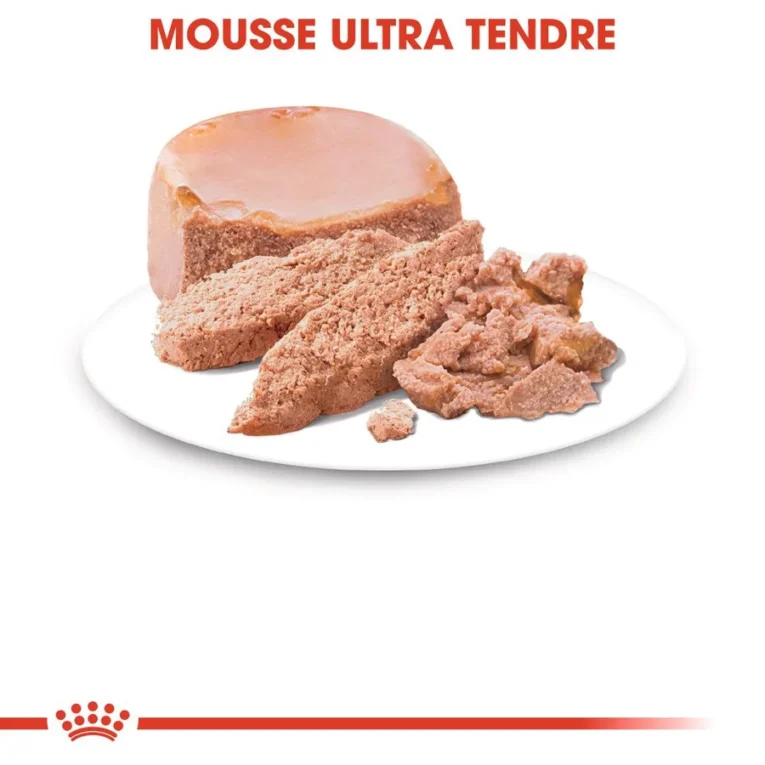 Royal Canin Mother & Babycat mousse