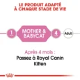 Royal Canin Mother & Babycat mousse