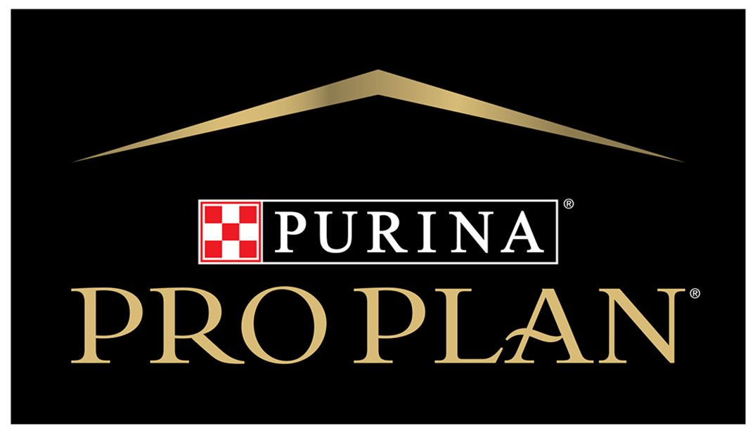 Pro Plan Logo