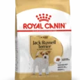 Royal Canin Jack Russell Adulte