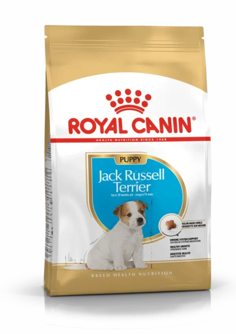 Royal Canin Chiot Jack Russell Terrier