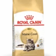 Royal Canin Maine Coon Adulte