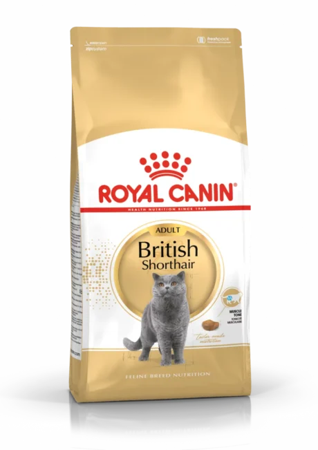 Royal Canin British Shorthair Adulte