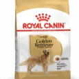 Royal Canin Golden Retriever Adulte