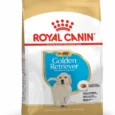 Royal Canin Chiot Golden Retriever