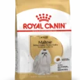 Royal Canin Bichon Maltais Adulte