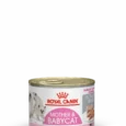 Royal Canin Mother & Babycat mousse