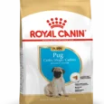 Royal Canin Chiot Carlin