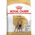 french bulldog royal canin