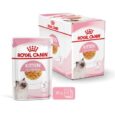 royal canin kitten en gelee