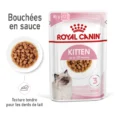 royal canin kitten