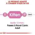 royal canin kitten en sauce adapte