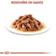 royal canin kitten en sauce bouche