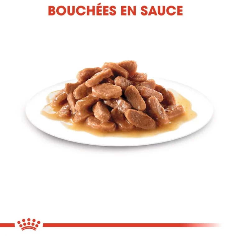 royal canin kitten en sauce bouche