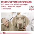 rc-vet-dry-consult-dog-fr-fr